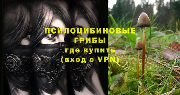 бошки Аркадак