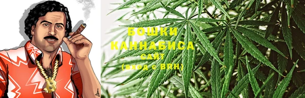 бошки Аркадак