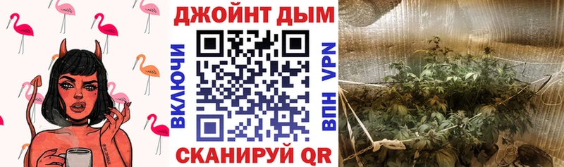 Канабис SATIVA & INDICA  магазин    Мурино 